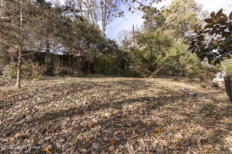 Listing Image 46