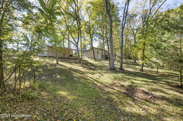 Listing Image 46