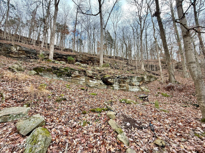 Listing Image 42
