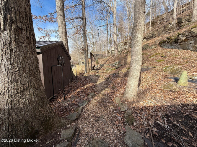 Listing Image 85