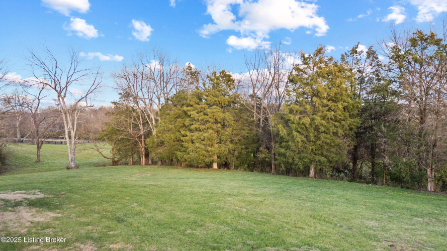 Listing Image 45