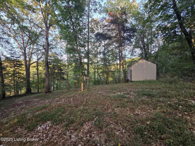 Listing Image 46