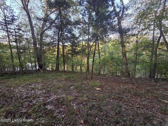 Listing Image 48