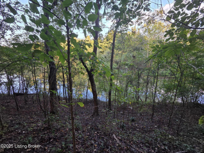 Listing Image 49
