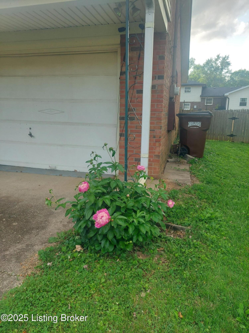 Listing Image 31