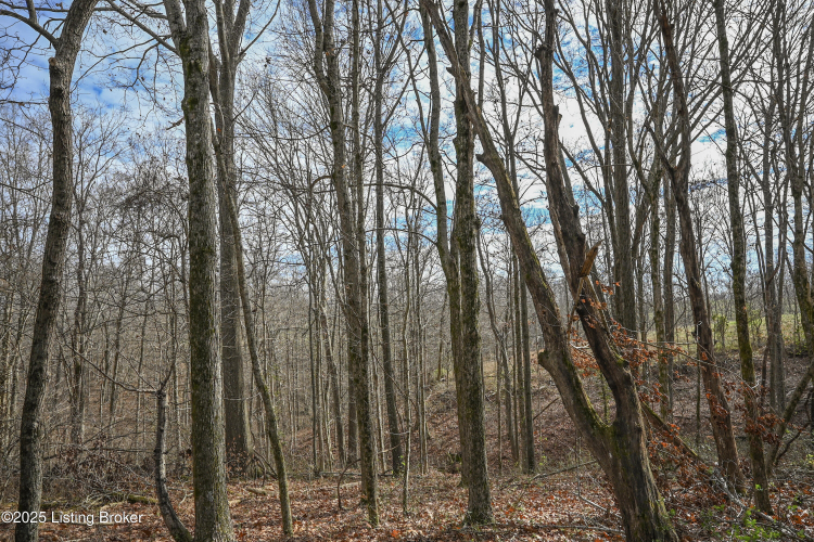 Listing Image 41