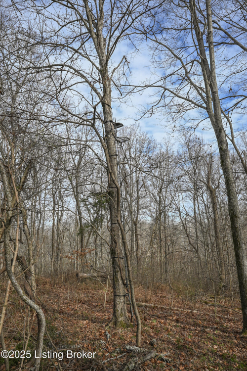 Listing Image 45