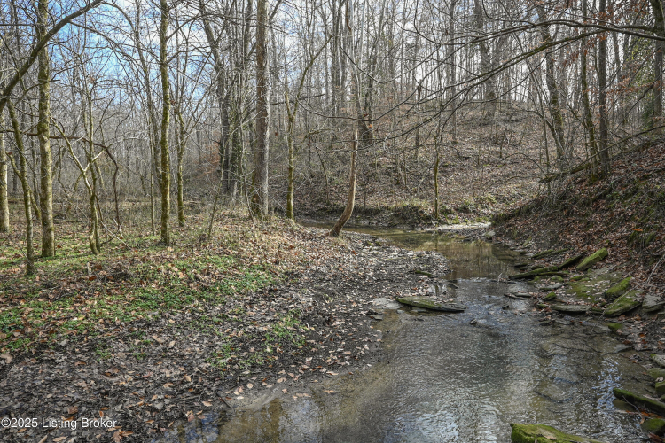Listing Image 62