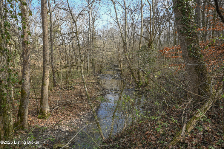 Listing Image 66