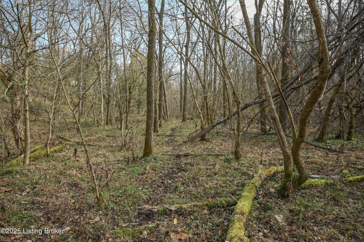 Listing Image 69