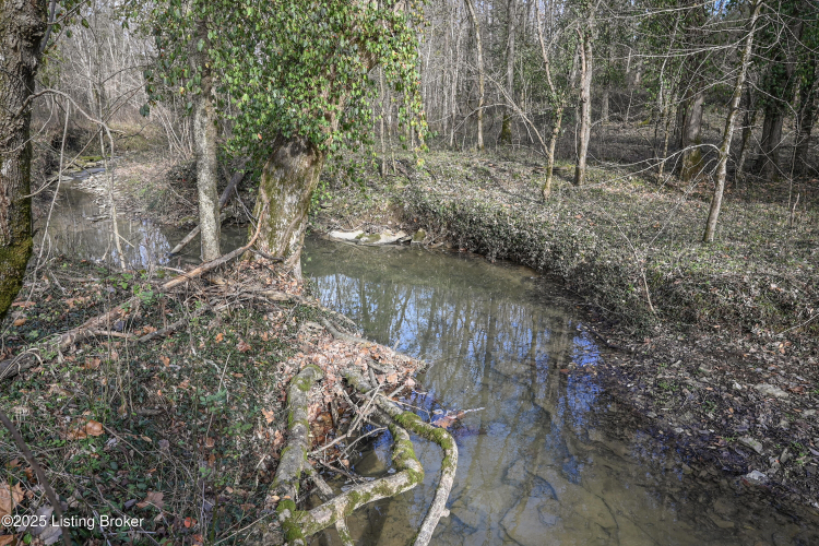 Listing Image 70