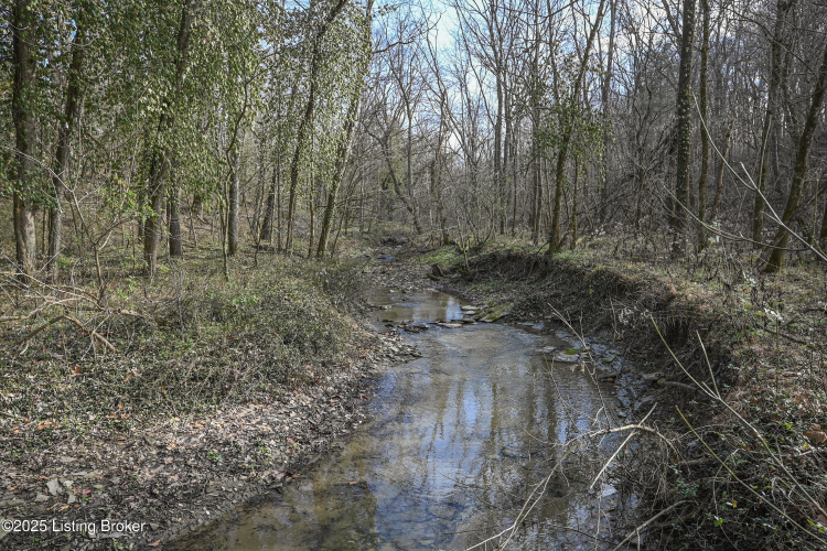 Listing Image 71