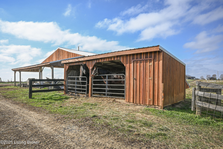 Listing Image 79