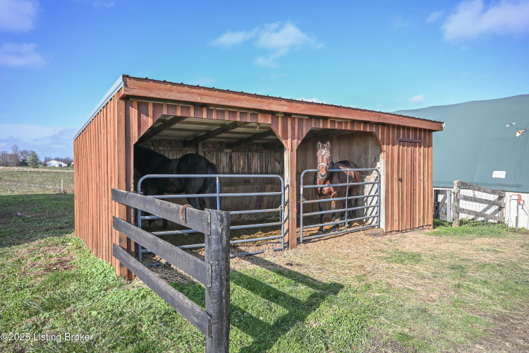Listing Image 84