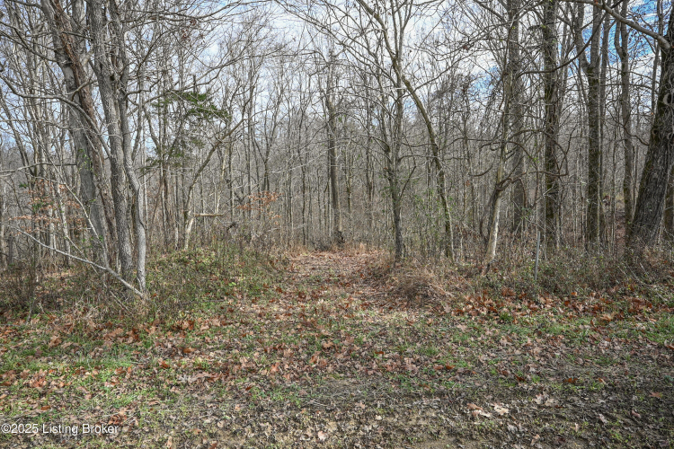 Listing Image 43