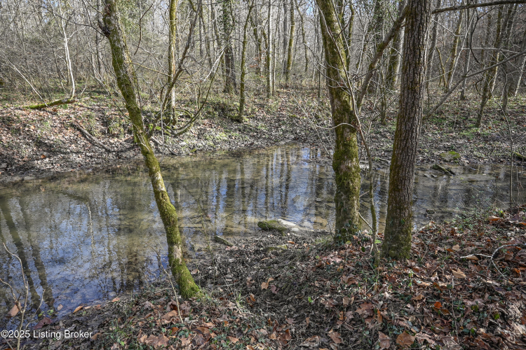 Listing Image 63