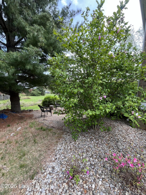 Listing Image 39