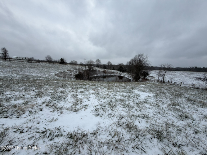Listing Image 72