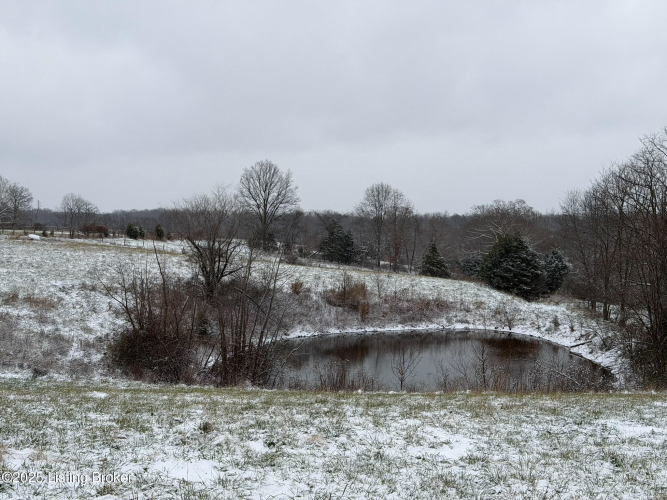 Listing Image 73
