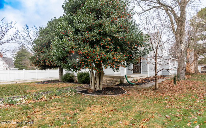 Listing Image 50