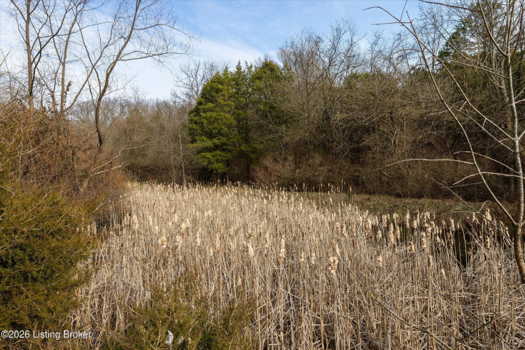 Listing Image 54