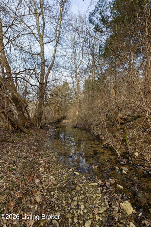 Listing Image 56
