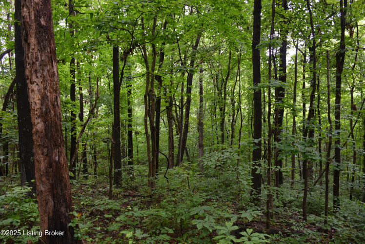 Listing Image 23