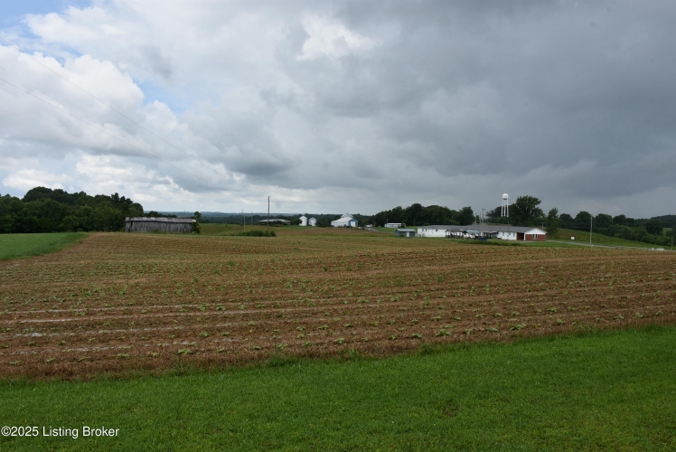 Listing Image 28