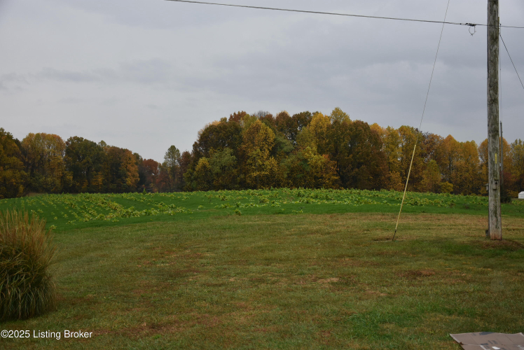 Listing Image 53