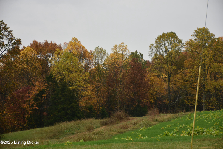 Listing Image 66