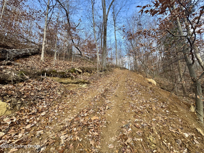 Listing Image 21