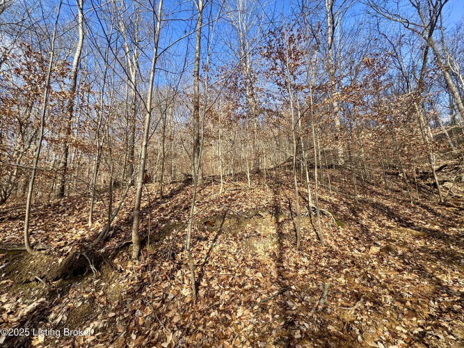 Listing Image 8