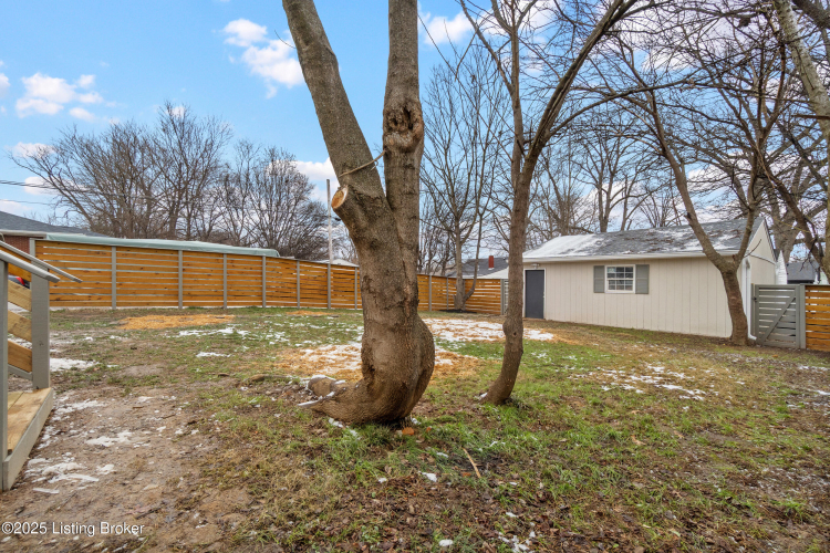 Listing Image 5