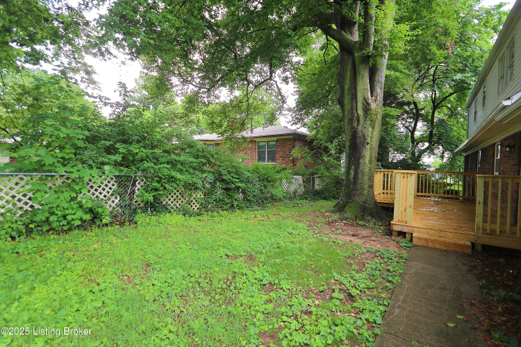 Listing Image 62