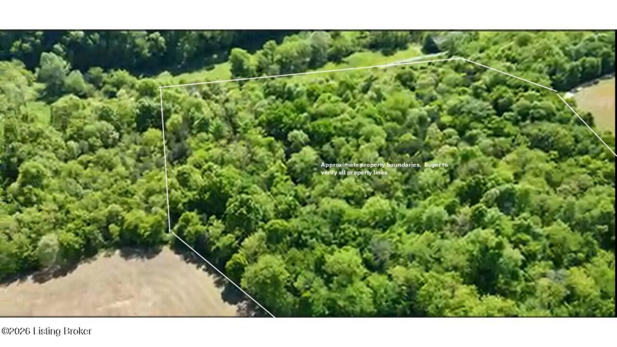 Listing Image 10