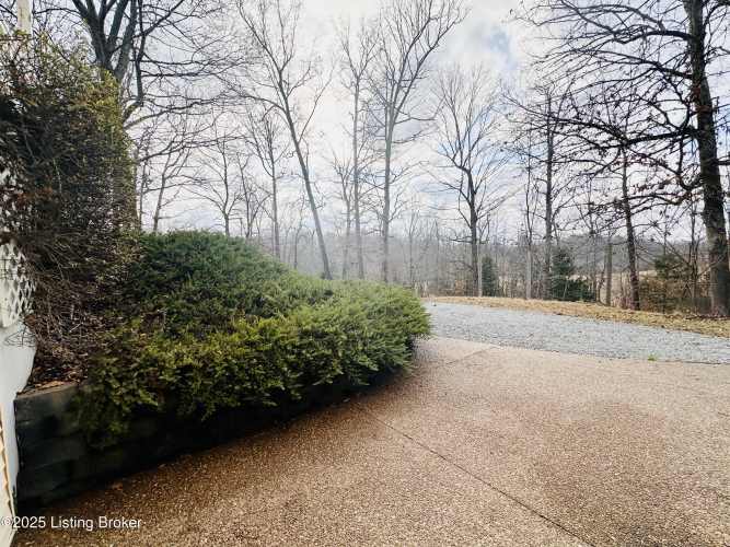 Listing Image 105
