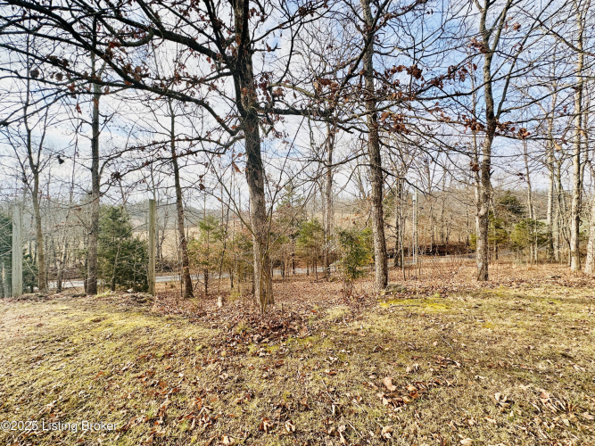 Listing Image 109