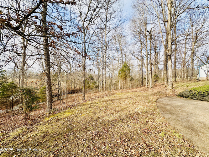 Listing Image 110