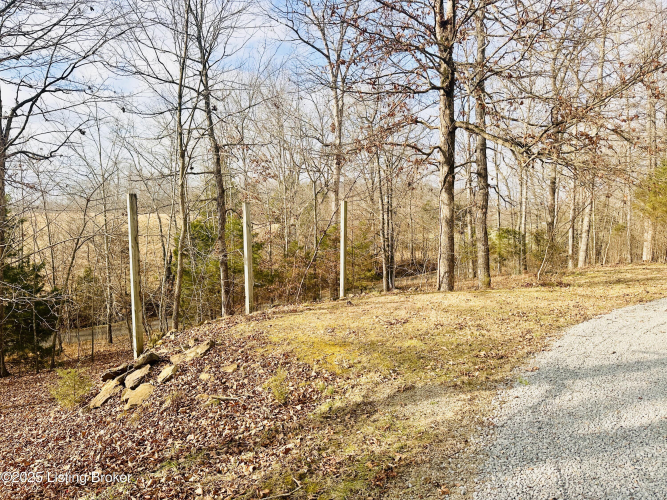 Listing Image 113