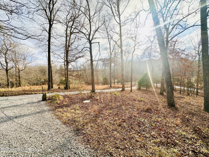 Listing Image 115