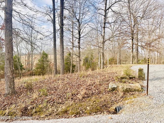 Listing Image 125