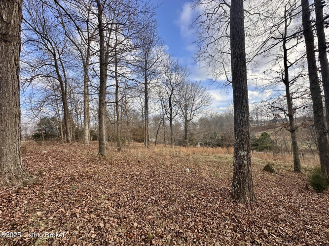 Listing Image 133