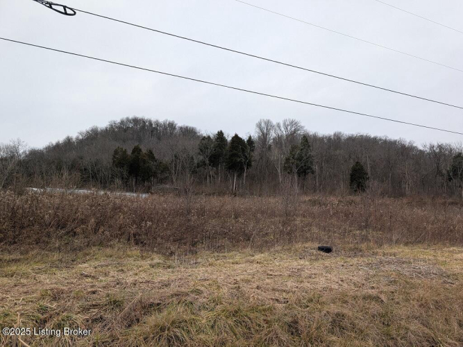 Listing Image 29