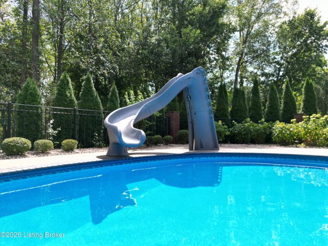Listing Image 100