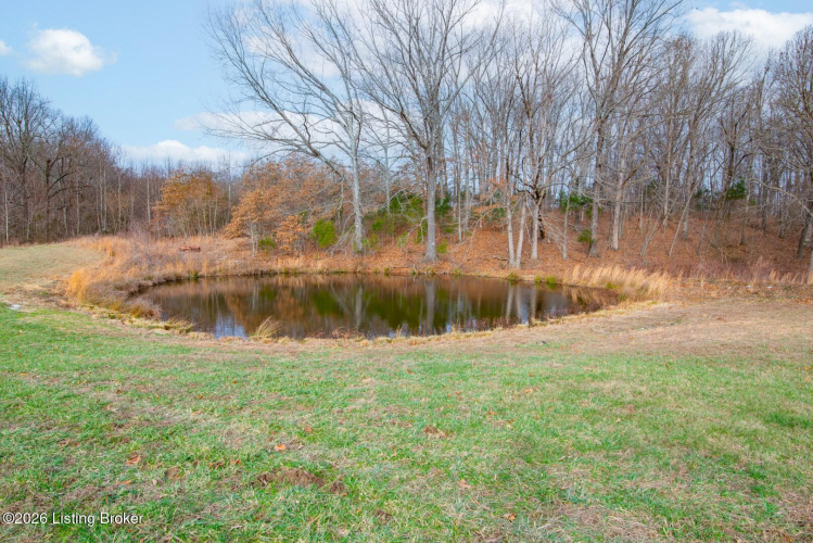 Listing Image 61
