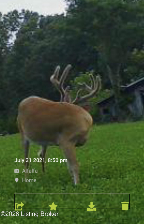 Listing Image 74