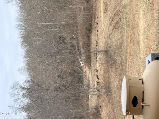 Listing Image 81