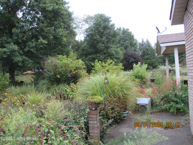 Listing Image 18