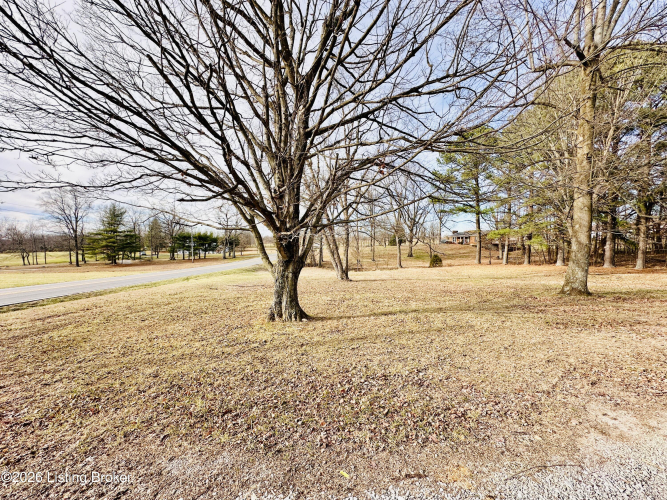 Listing Image 38