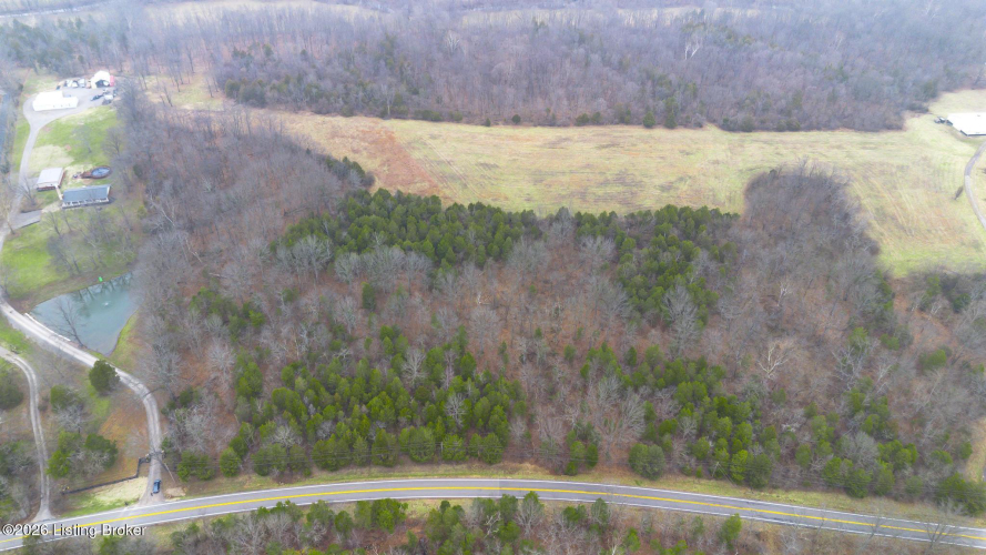 Listing Image 12
